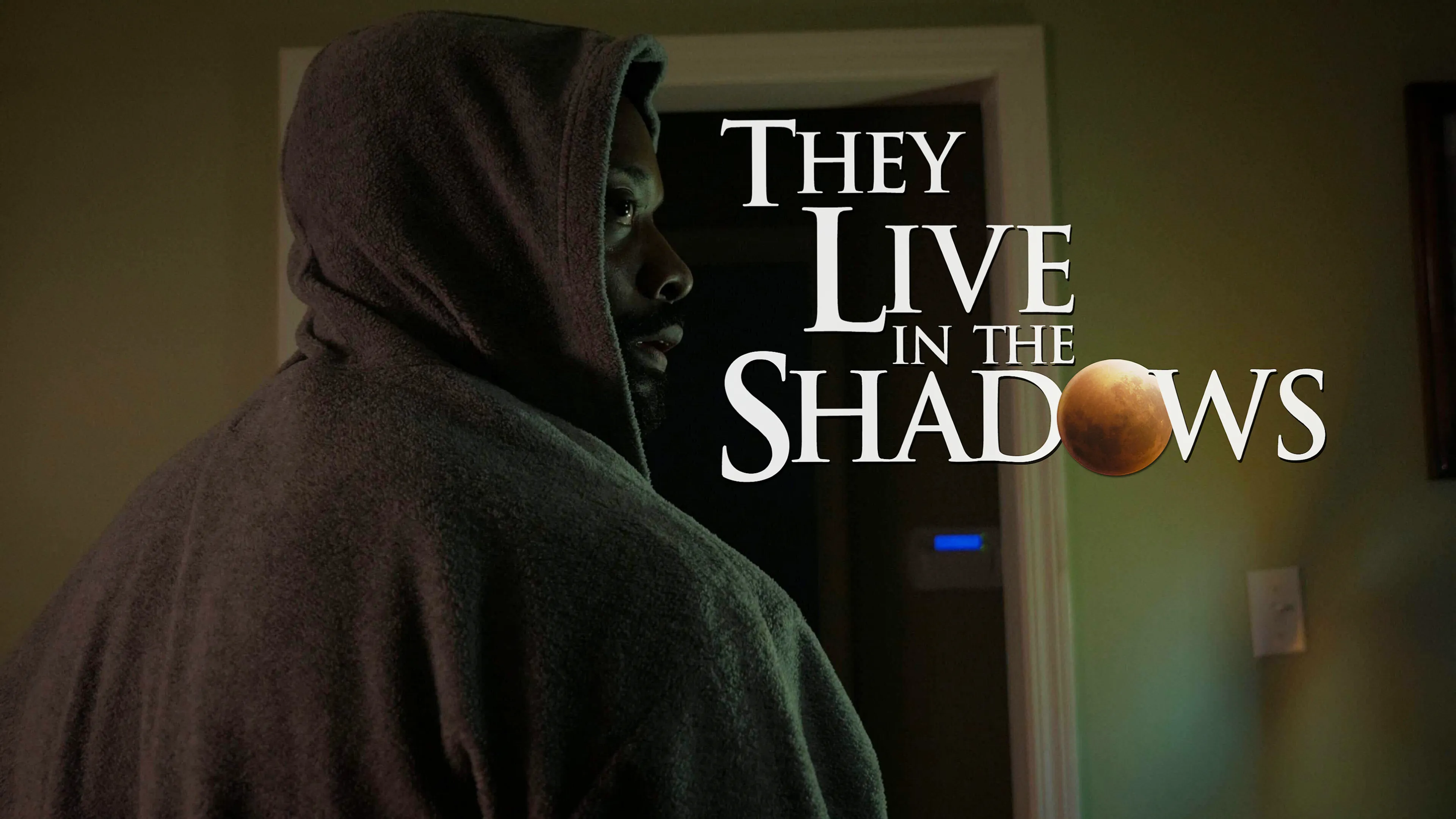 They Live In The Shadows poster